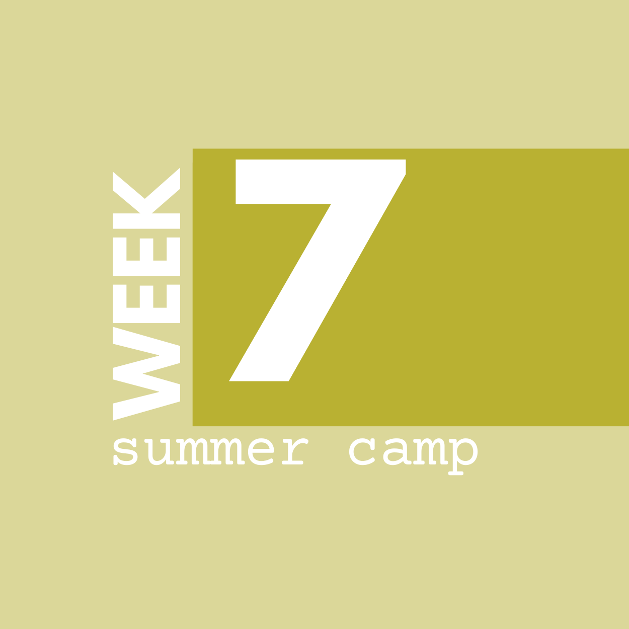 Summer Camp Week 7: August 3-7 | AM + PM Options