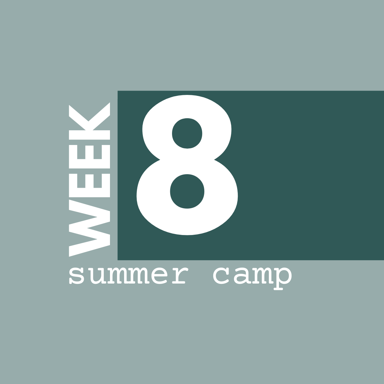 Summer Camp Week 8: August 10-14 | AM + PM Options