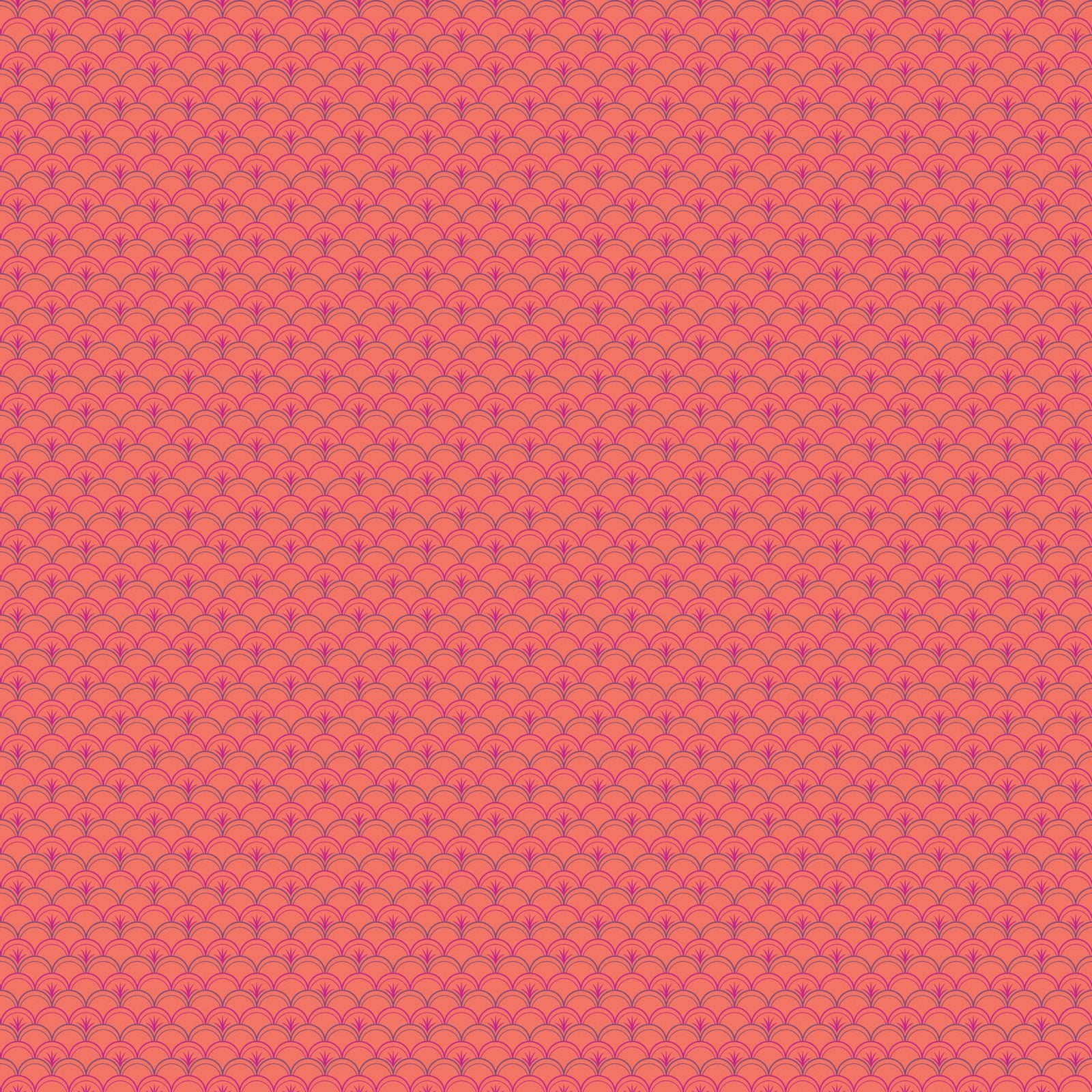 Trade Winds - Tides - Coral