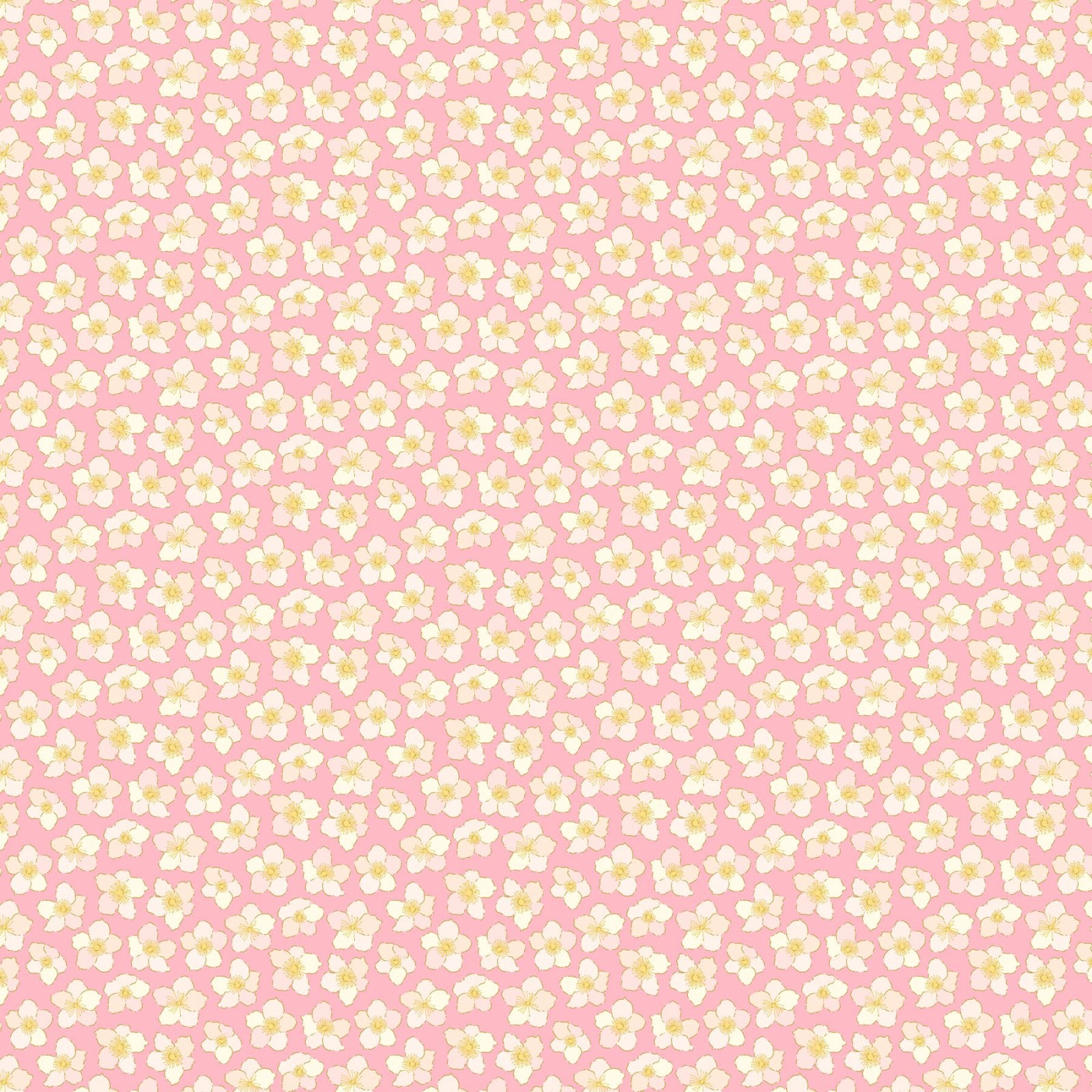 Florescence - Hellebores - Pink