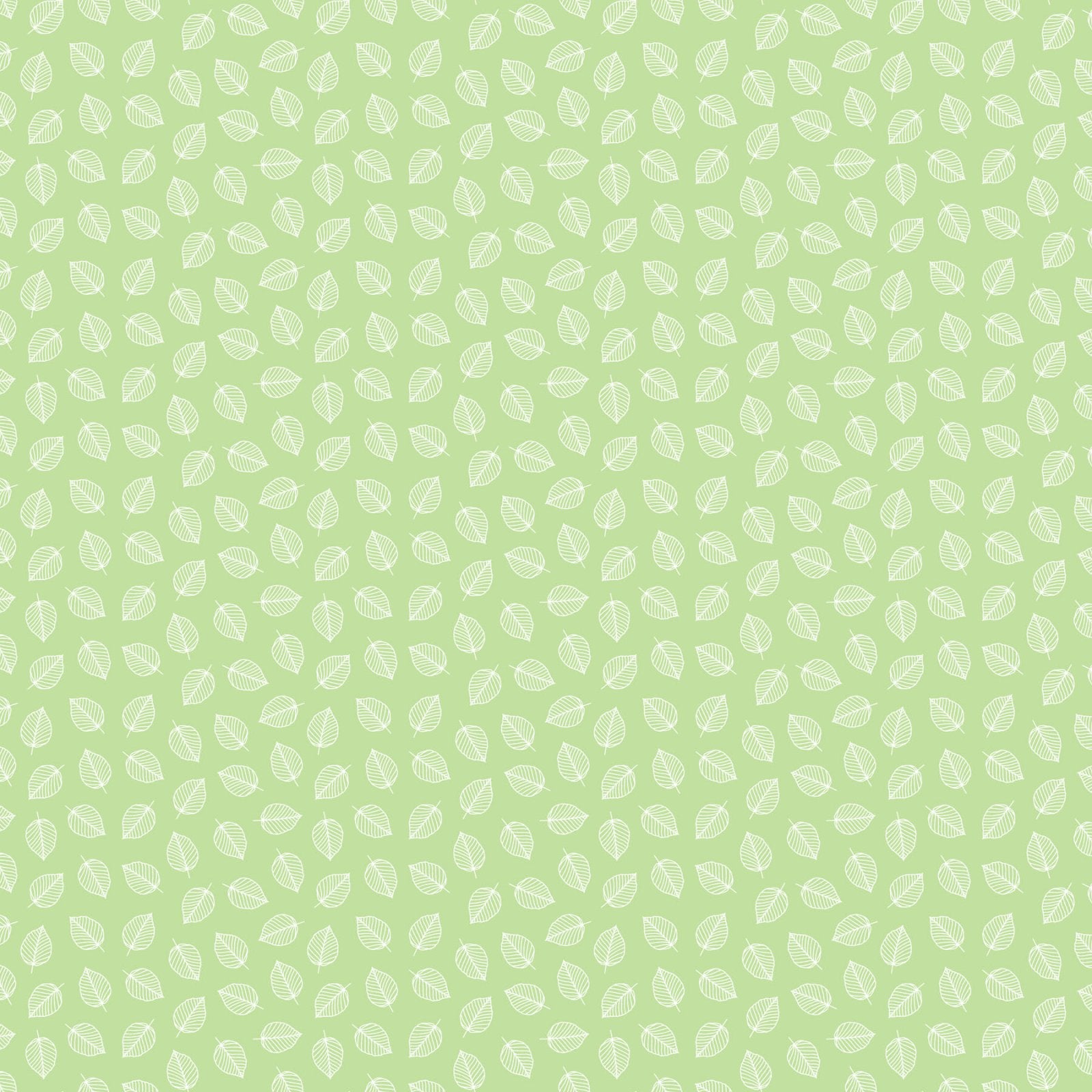 Florescence - Leaves - Green 