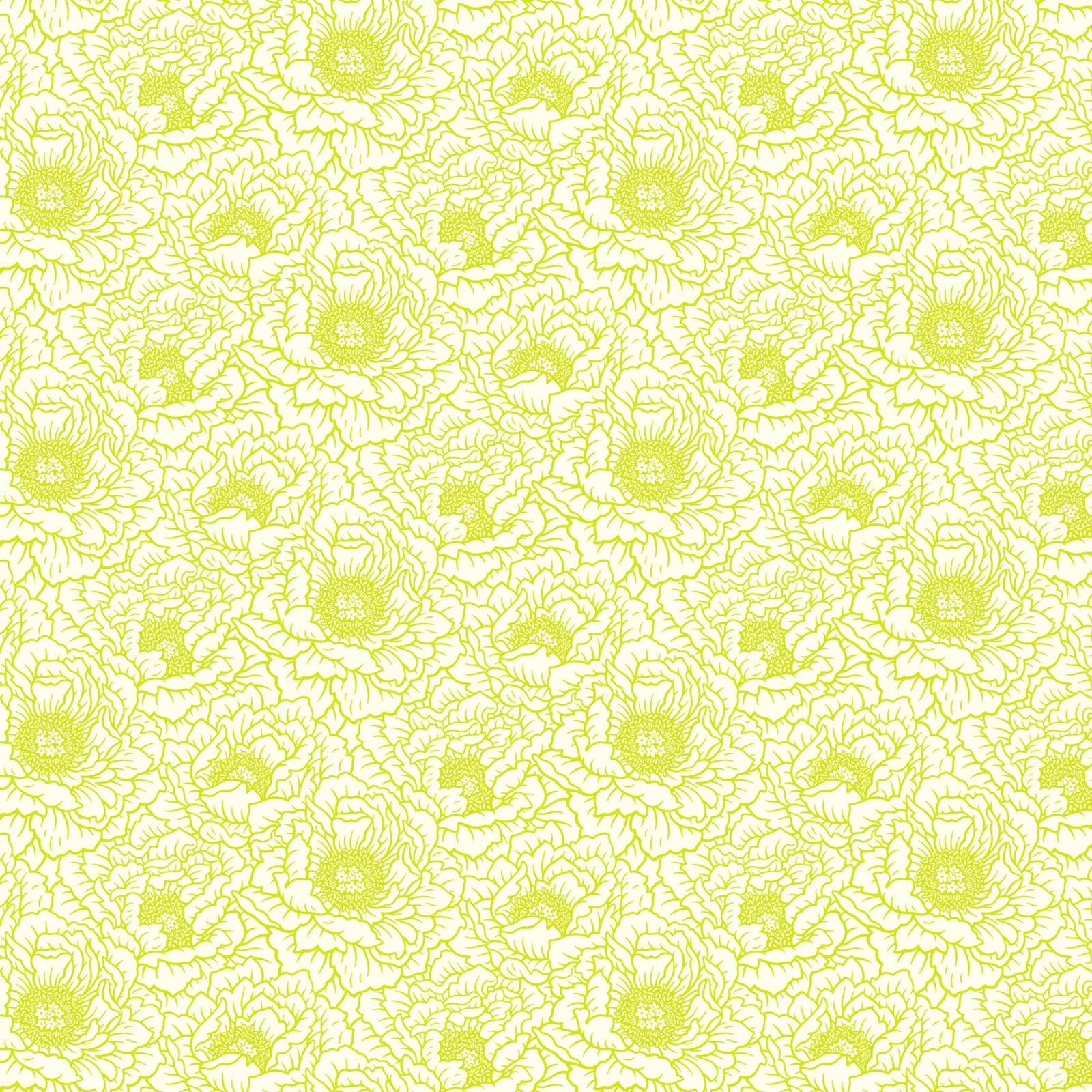 Full Bloom - Peony - Cream