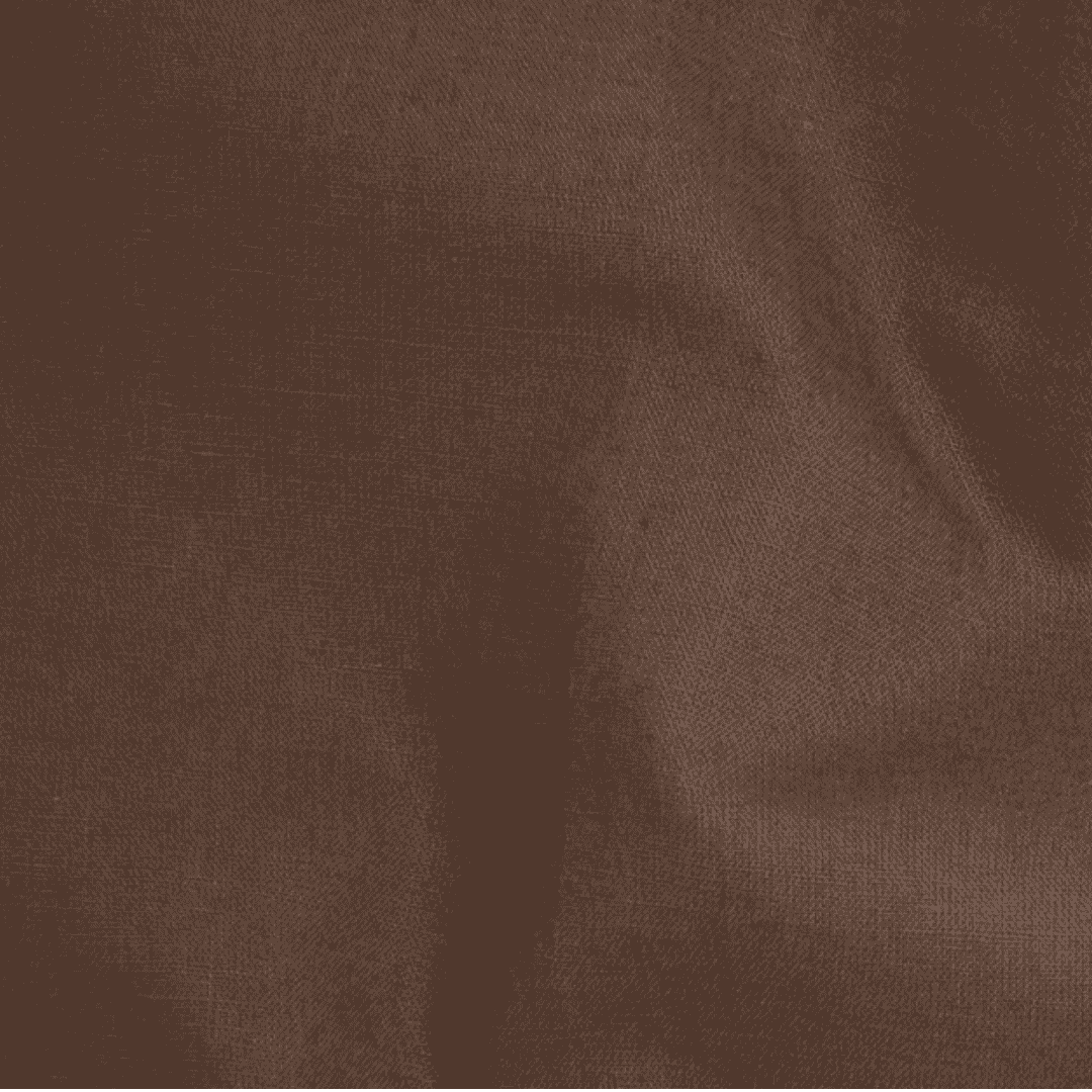Solid Canvas - Chocolate