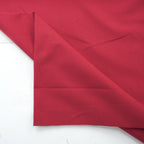 Solid Canvas - Red