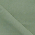 Solid Canvas - Sage Green
