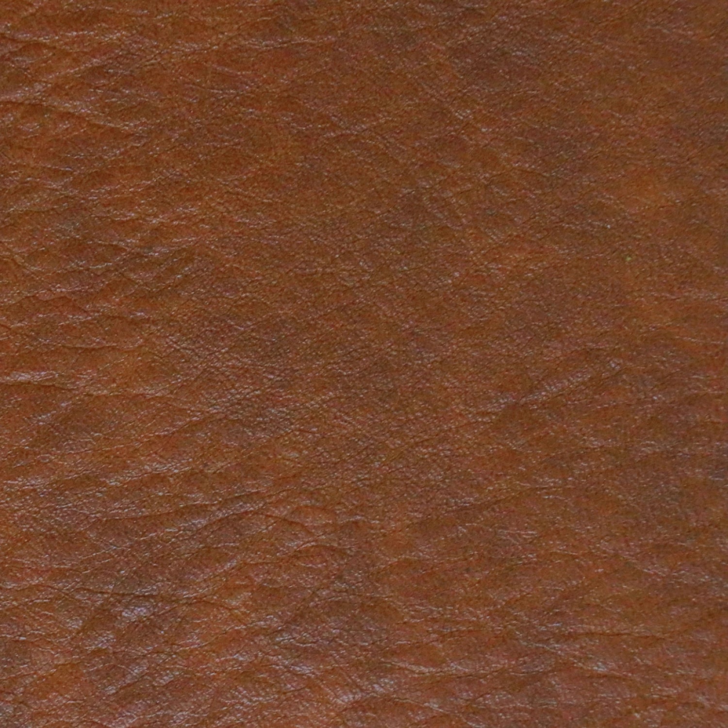 Sallie Tomato Legacy Faux Leather - Hazelnut - 1/2 yard