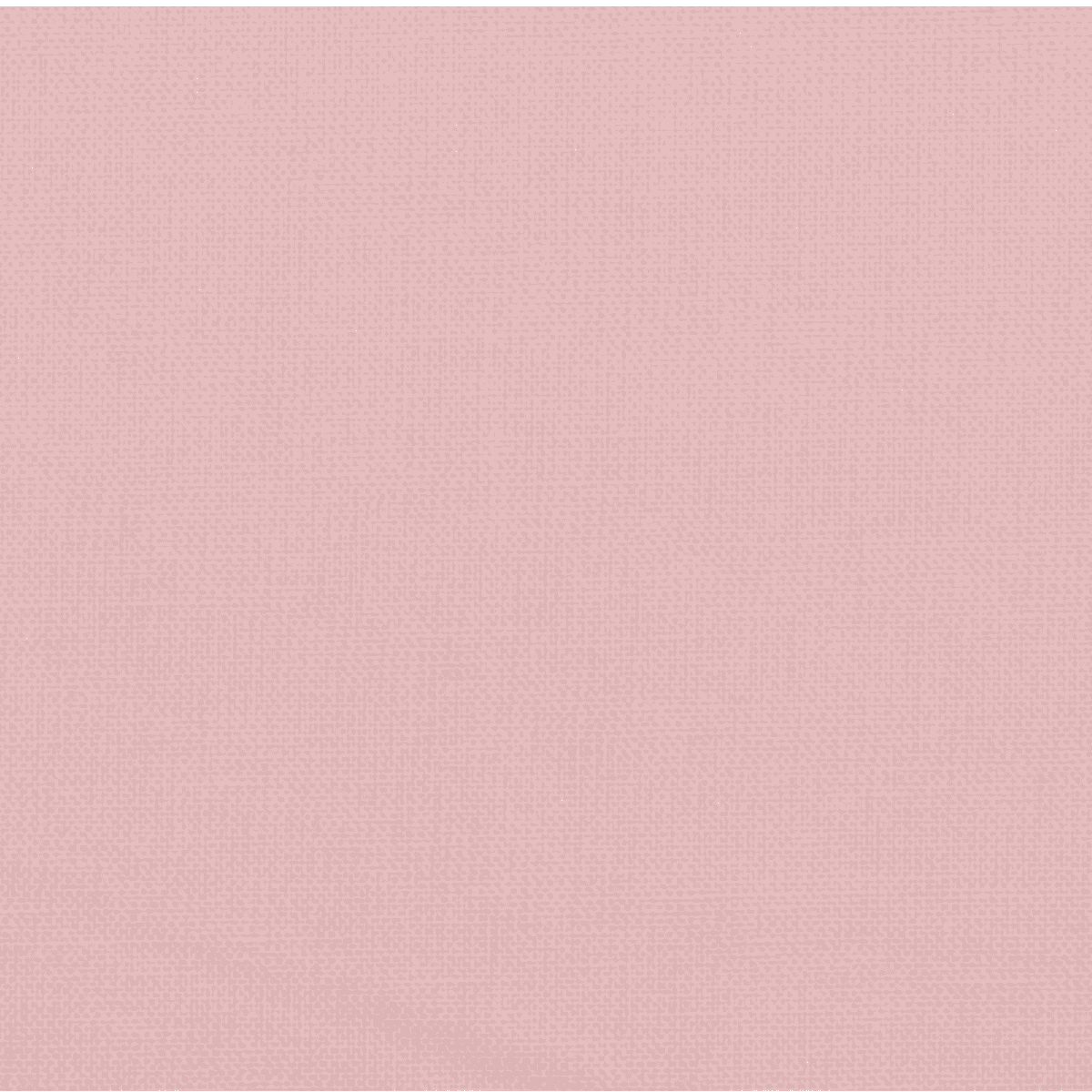 Solid Canvas - Rose Pink - 8 oz