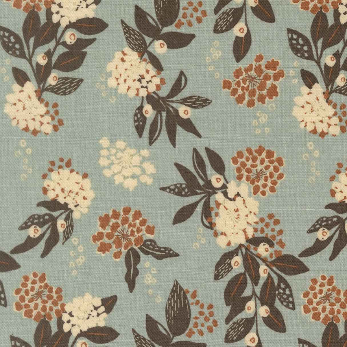 Wellspring - Inflorescence - Storm
