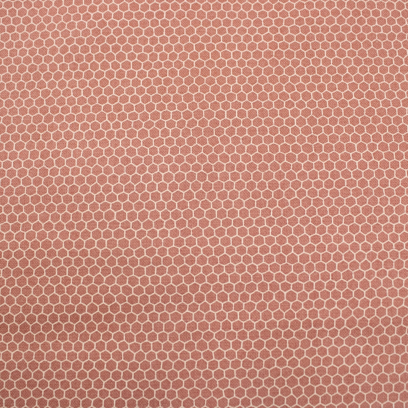 Nature Study - Beetroot