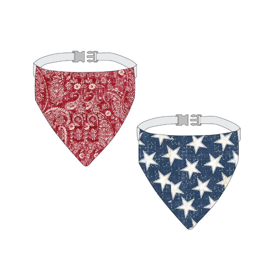 Project Kit: Stevie's Favorite Bandana