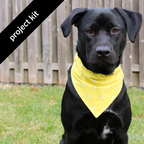 Stevie's Favorite Bandana Kit