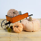 pumpkin patch
