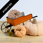 The Pumpkin Patch Fabric Pumpkin Kit