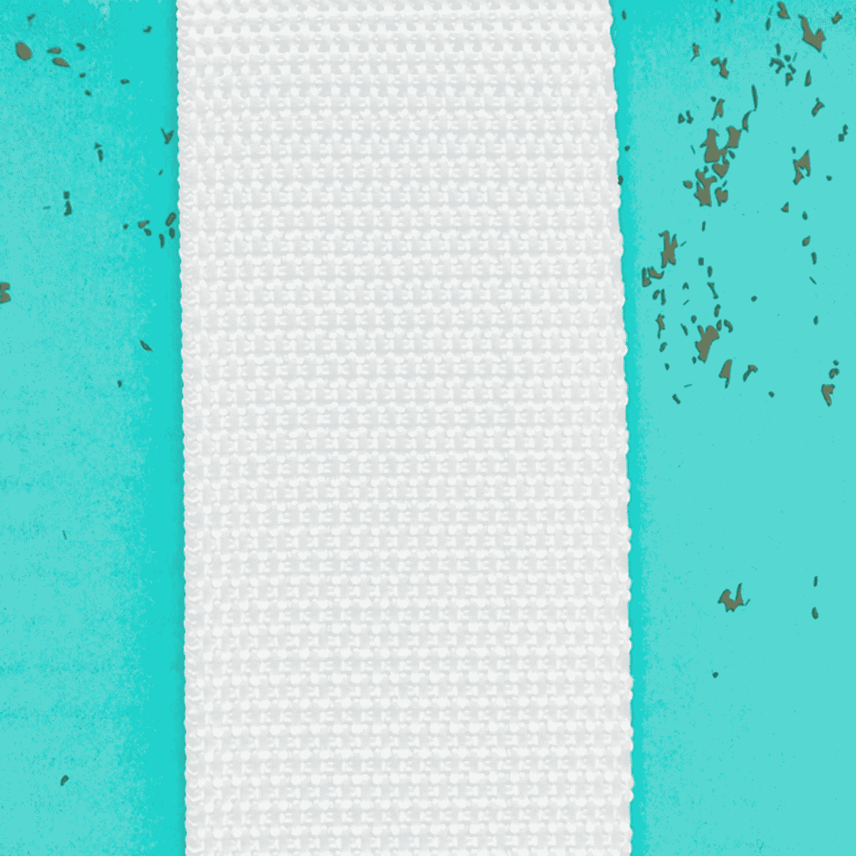 Polypro Webbing 1-1/2in white