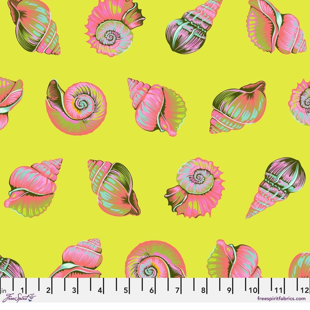 Floral Reef - Lil Shelly - Seagrass