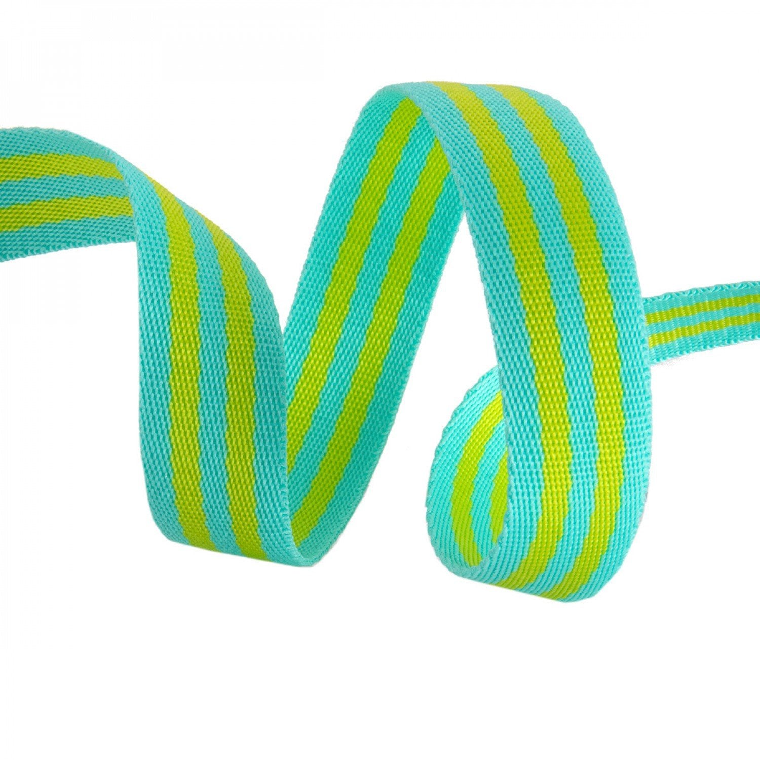 Tula Pink Webbing BTY - 1" Lime and Turquoise