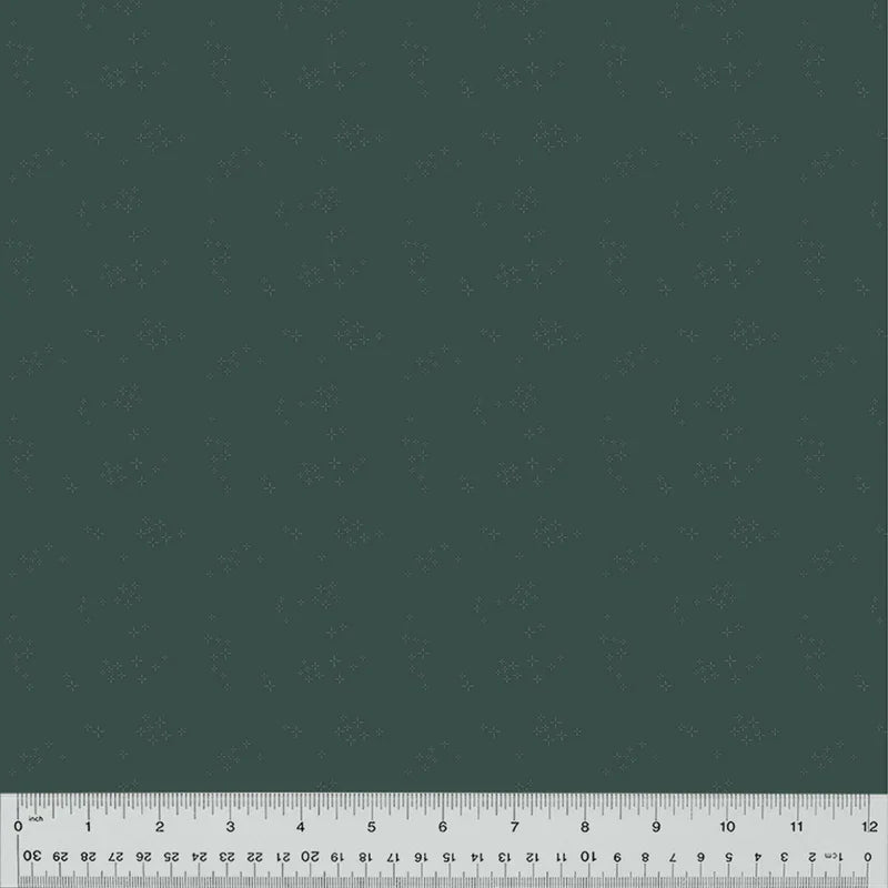 Nature Study 2.0 - Astra - Blue Agave