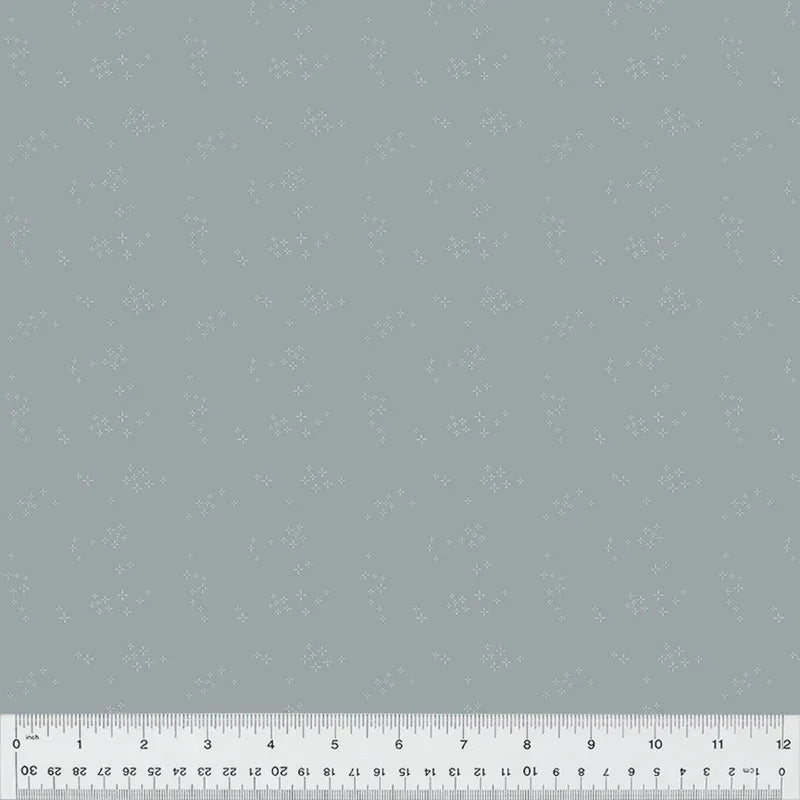 Nature Study 2.0 - Astra - Butterfly Pea