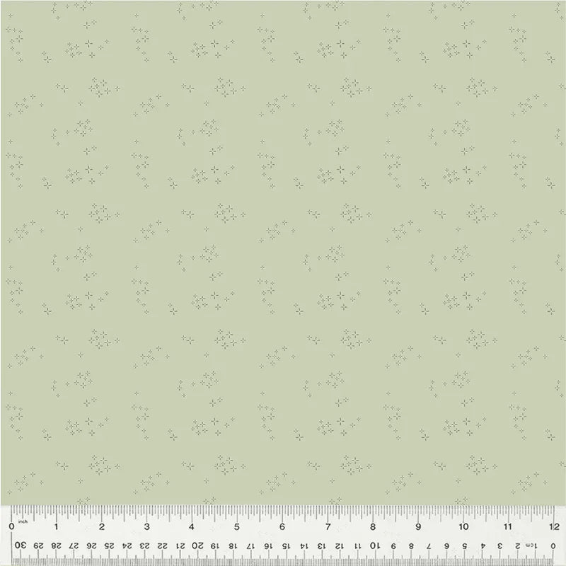 Nature Study 2.0 - Astra - Mint