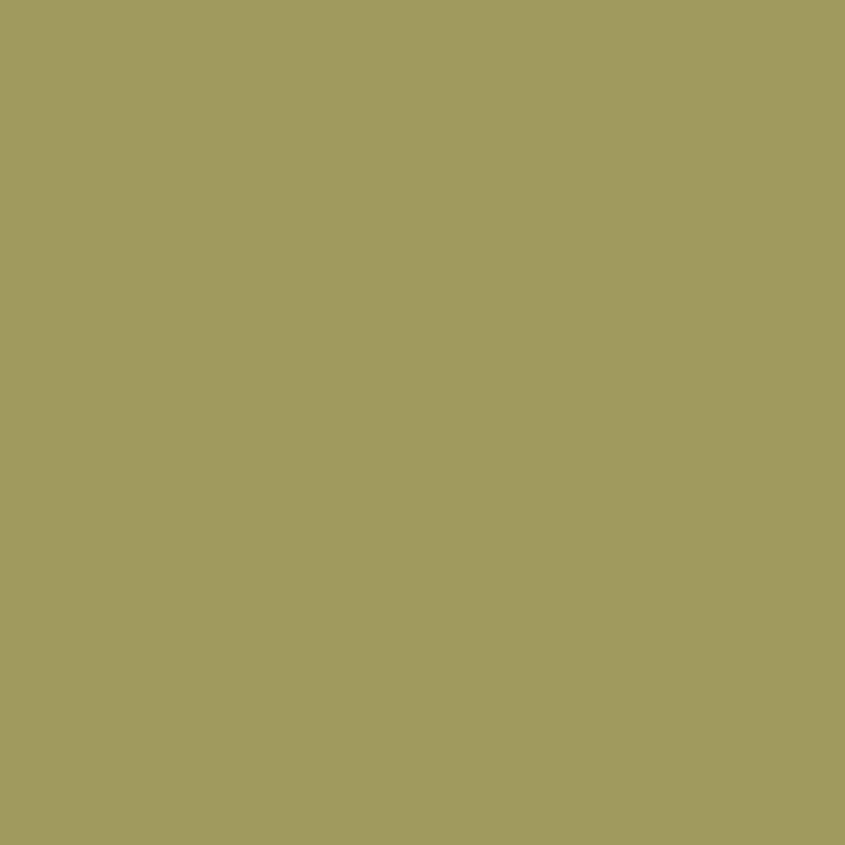 Confetti Cotton Solid - Olive
