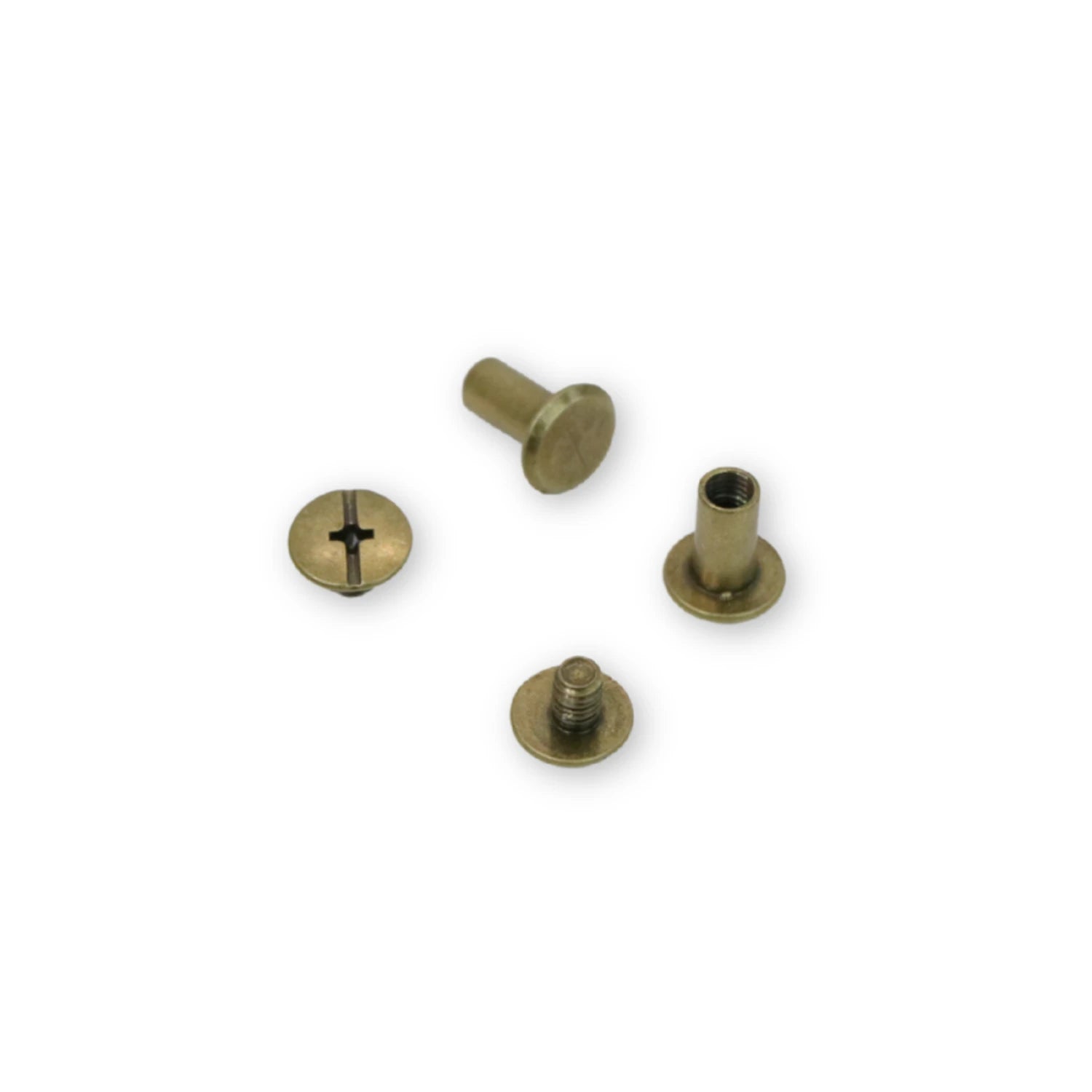 Sallie Tomato Chicago Screws - 10mm - Antique Brass