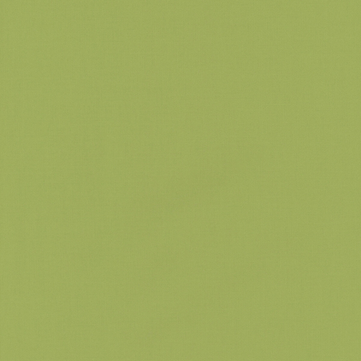 Confetti Cotton Solid - Lettuce