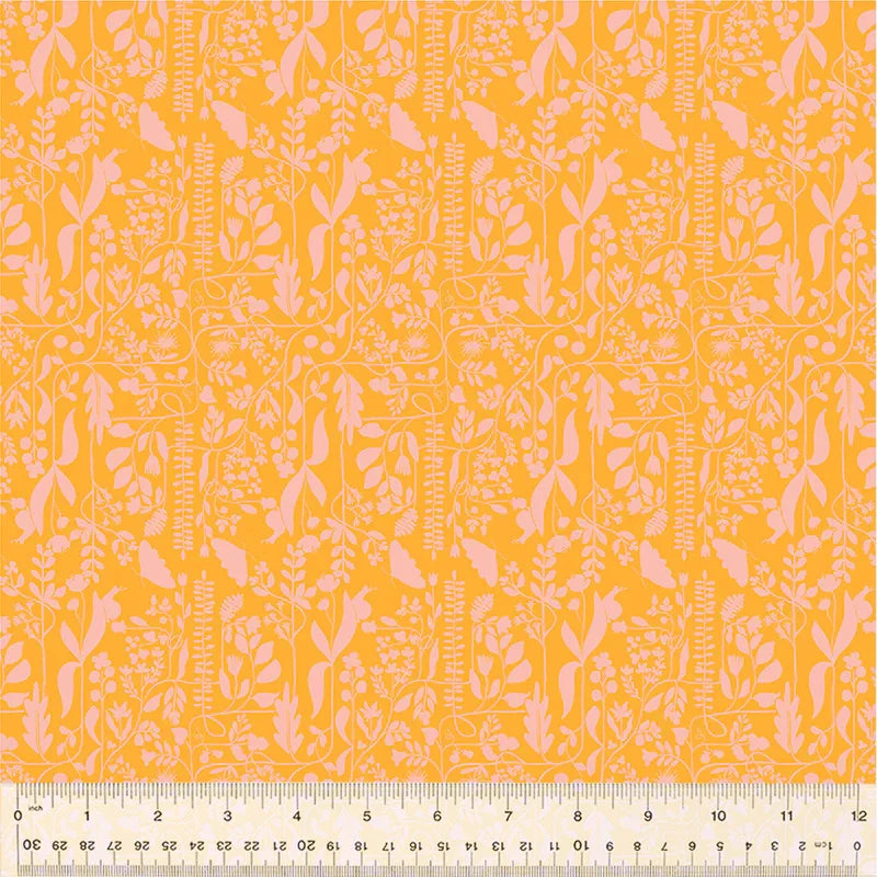 PREORDER: Insectarium - Meander - Orange