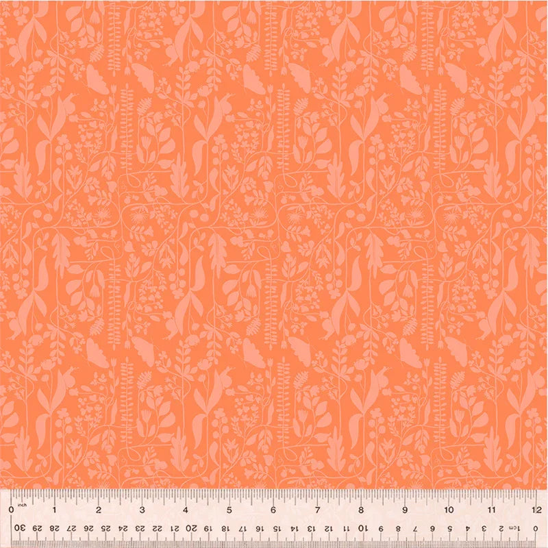 PREORDER: Insectarium - Meander - Petal