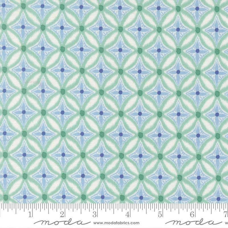 Reef - Medallion - Algae