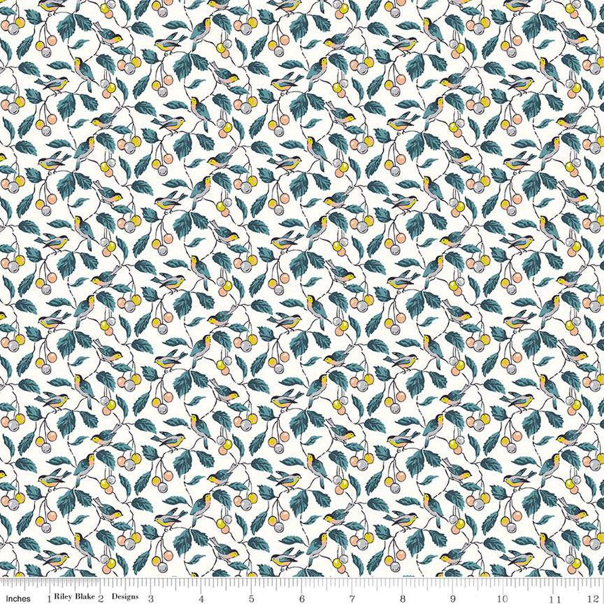 Woodland Walk - Misty Morning - Birdsong A