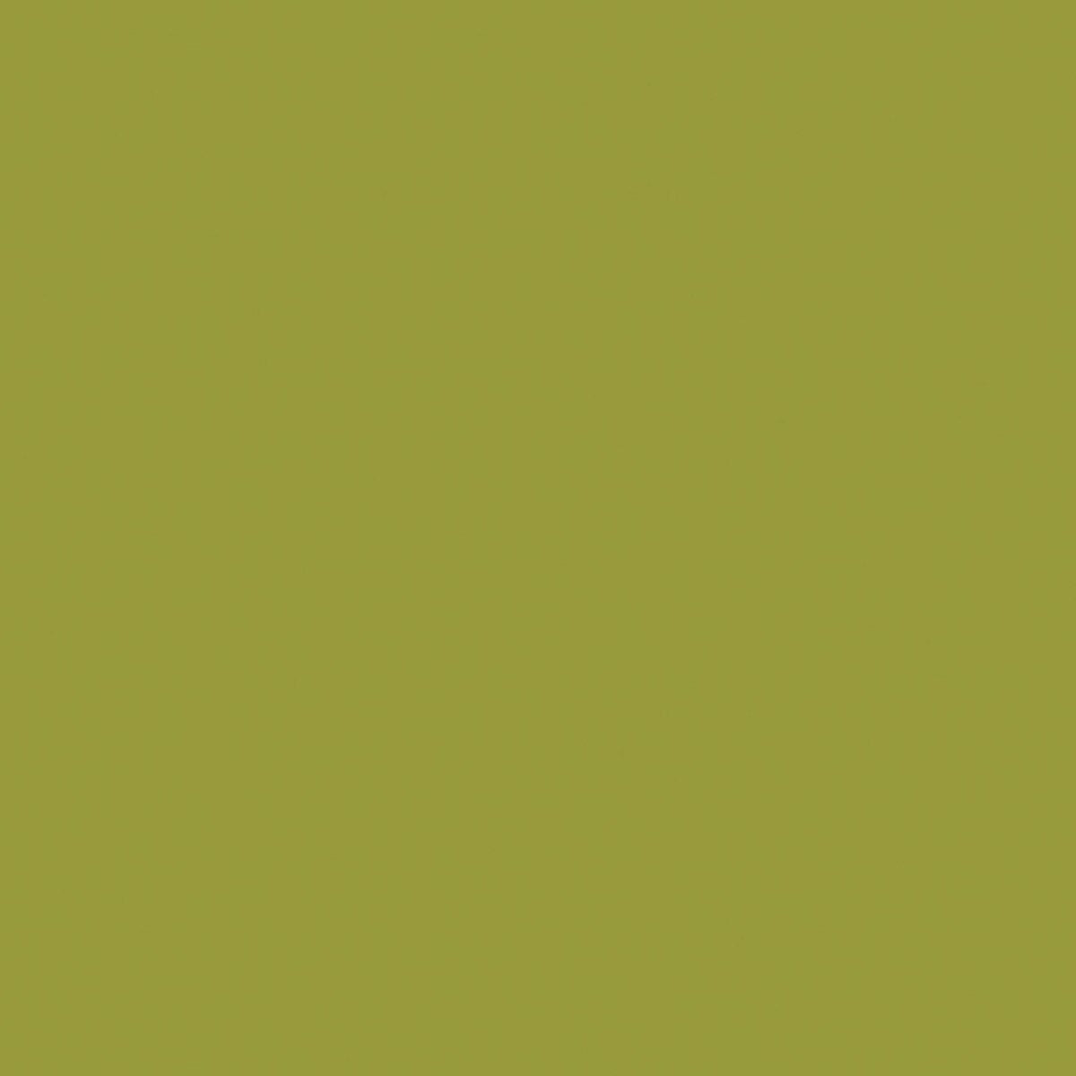 Confetti Cotton Solid - Moss
