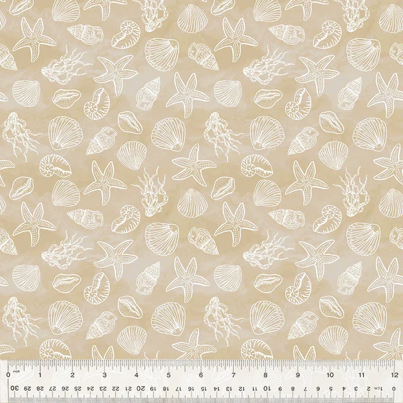 Ocean Song - Shell Collection - Sand