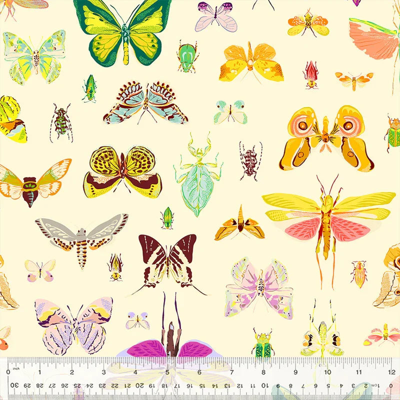 PREORDER: Insectarium - On Display - Light