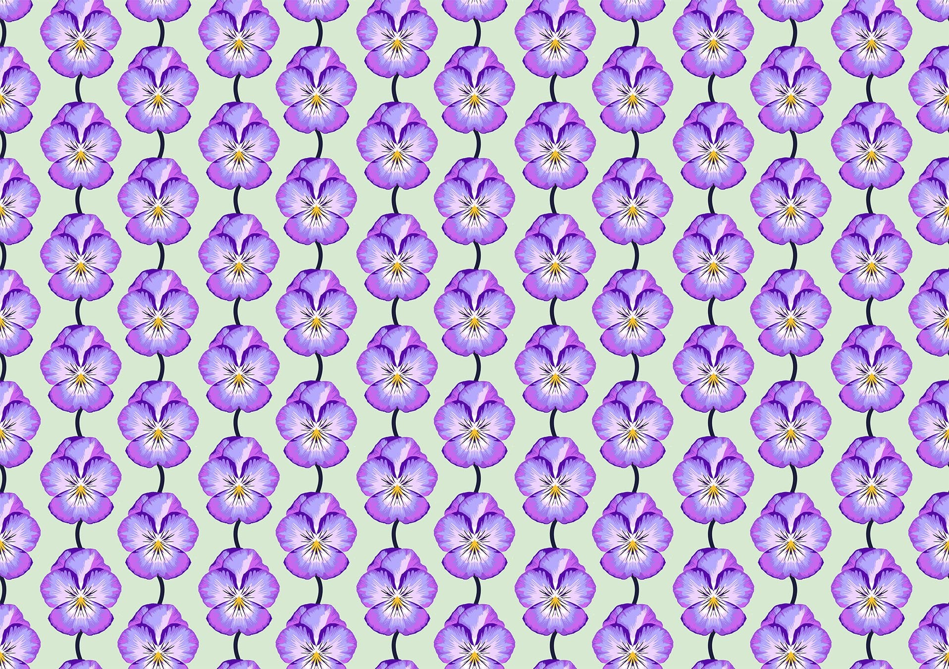 Iconic - Pansy - Lavender