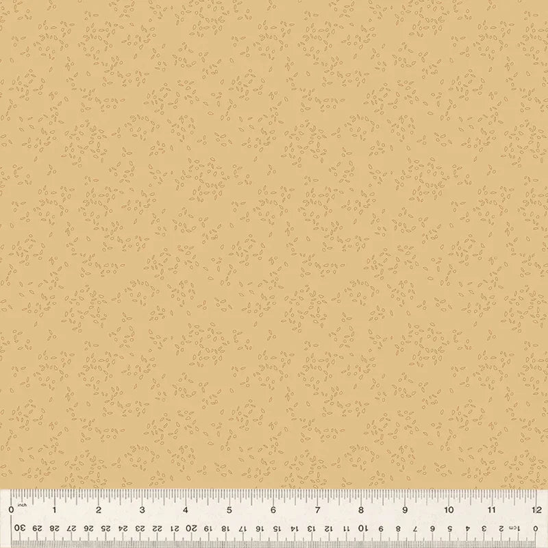 Nature Study 2.0 - Petal - Buckthorn