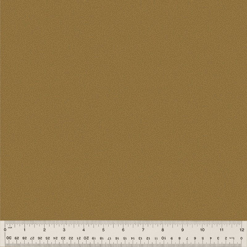 Nature Study 2.0 - Pile - Kelp