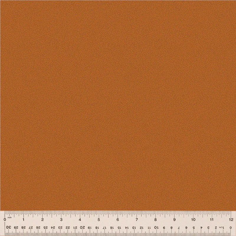 Nature Study 2.0 - Pile - Pumpkin