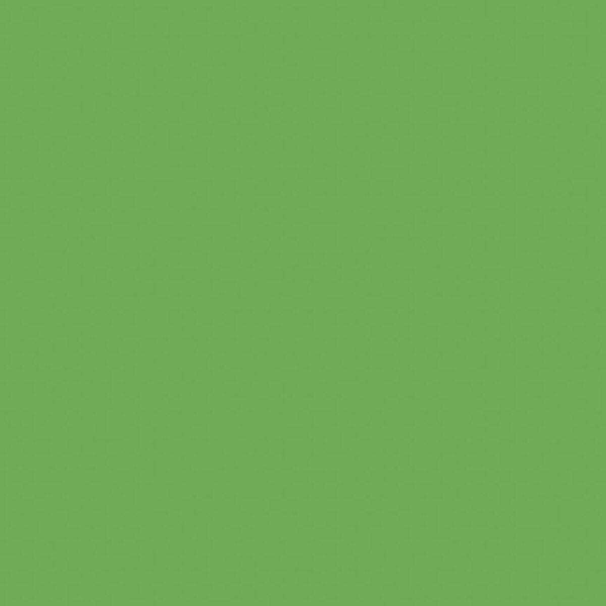 Confetti Cotton Solid - Riley Green