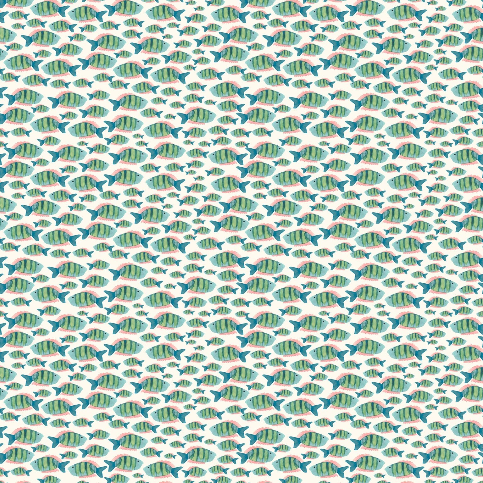 Under the Sea - Shoals of Fishes - Reef 