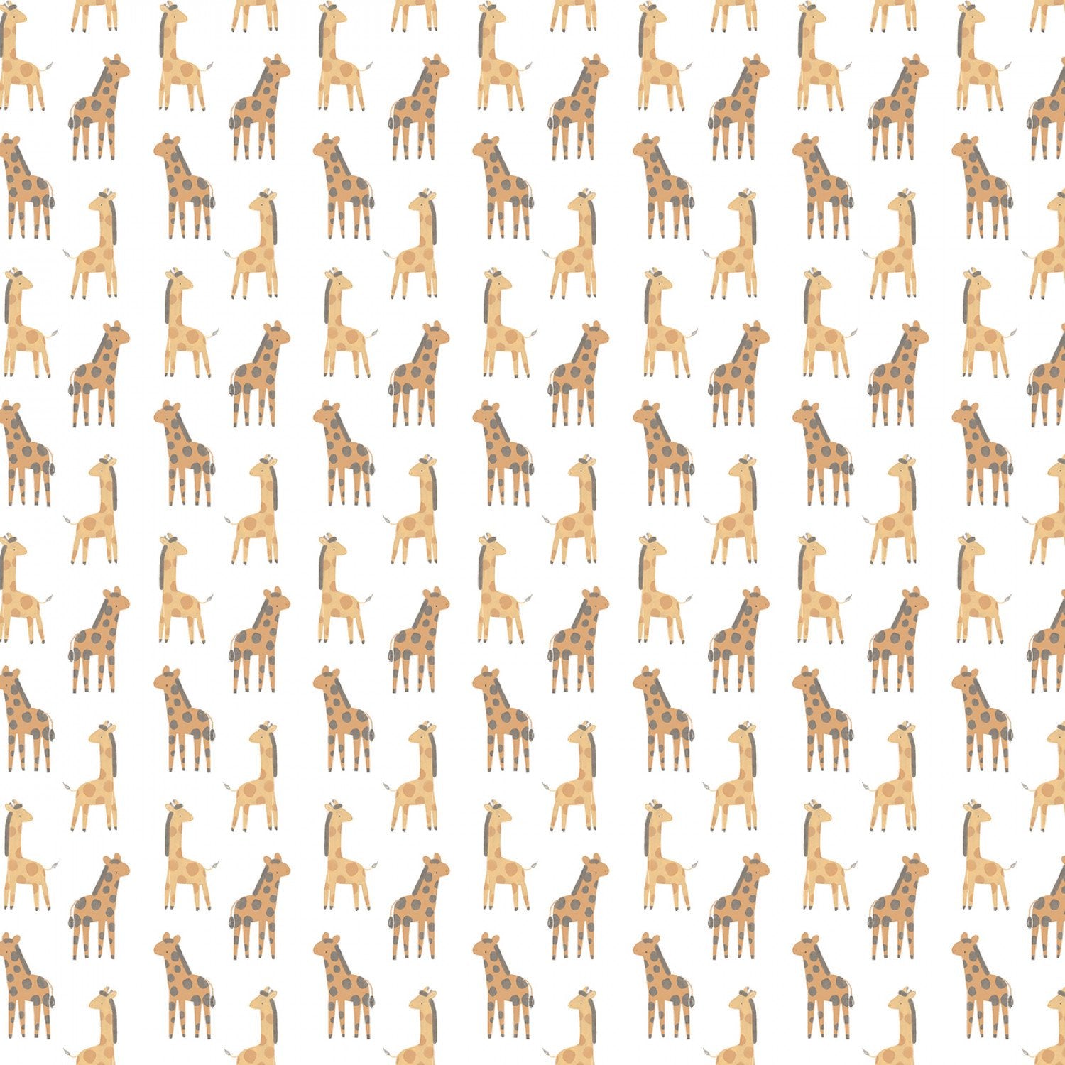 Grasslands - Stand Tall - White