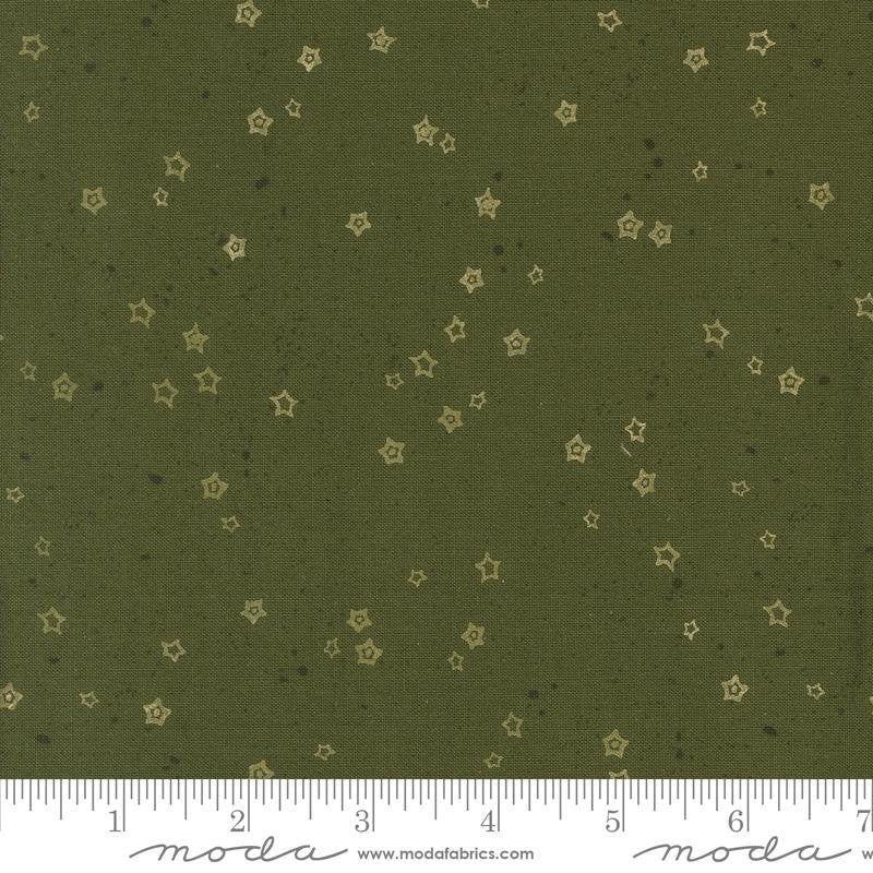 Foraged Found - Stardust - Pine