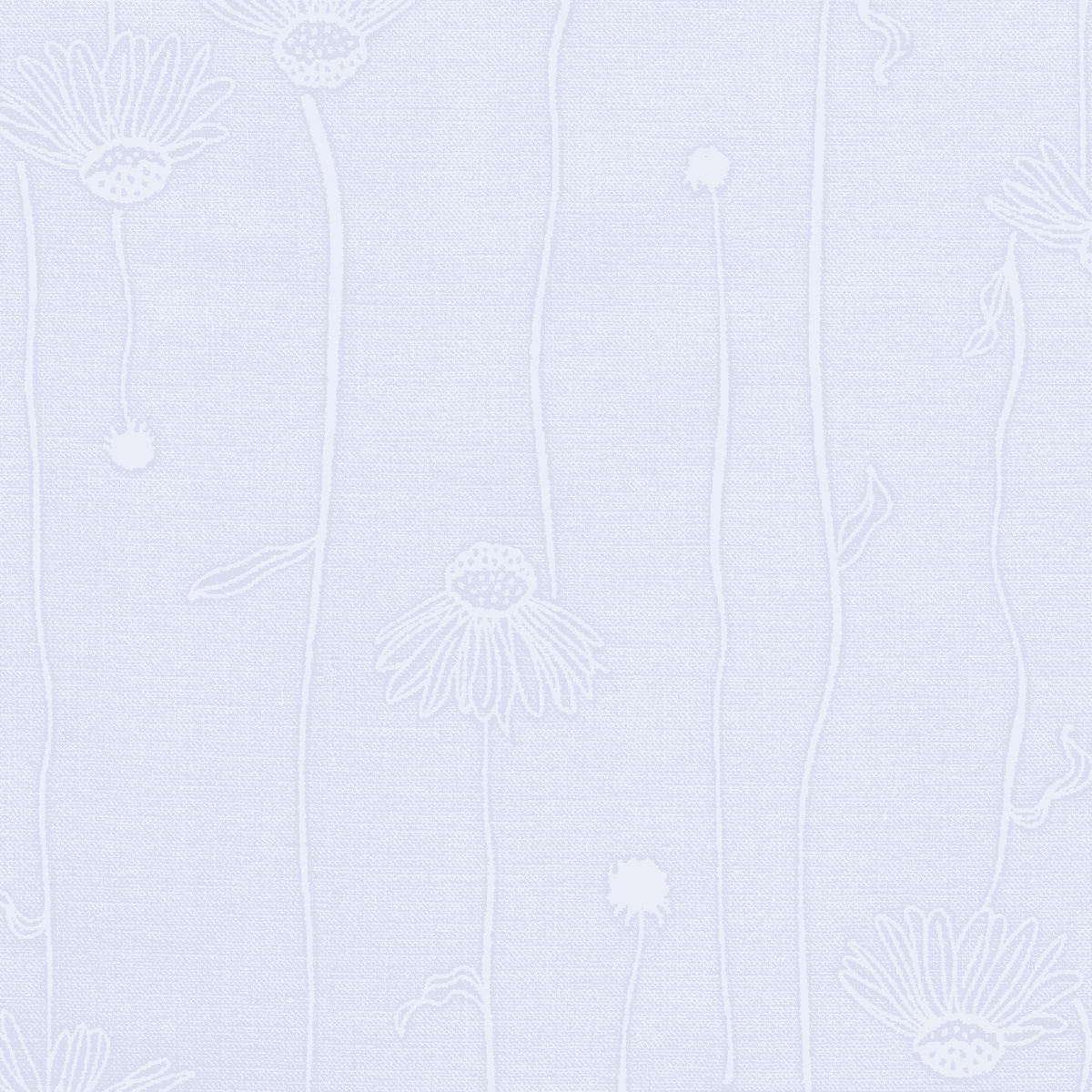 Alabaster Hues - Cone Flowers - Lavender