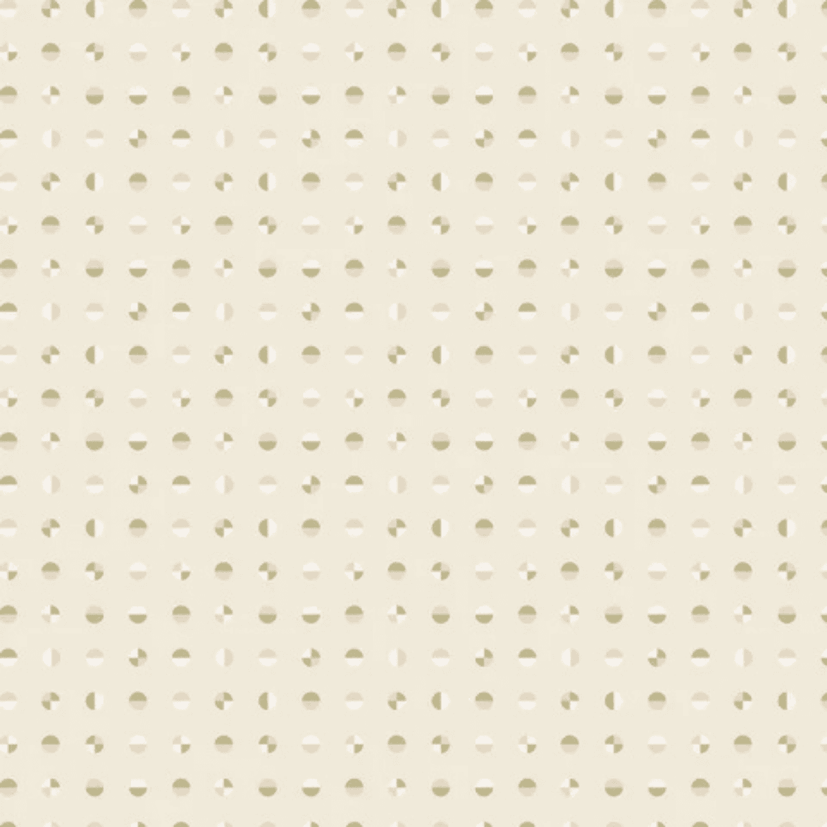 American Bold - Circular - Oyster Shell