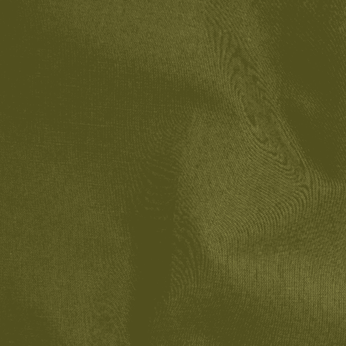 Solid Canvas - Kale