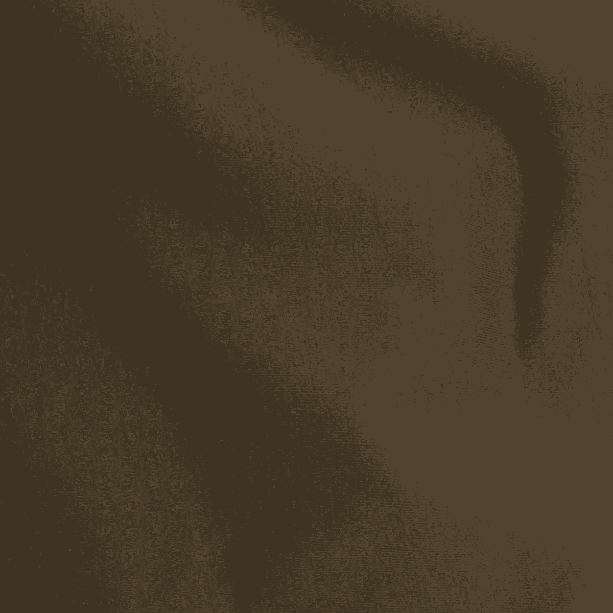 Organic Spandex Knit - Olive